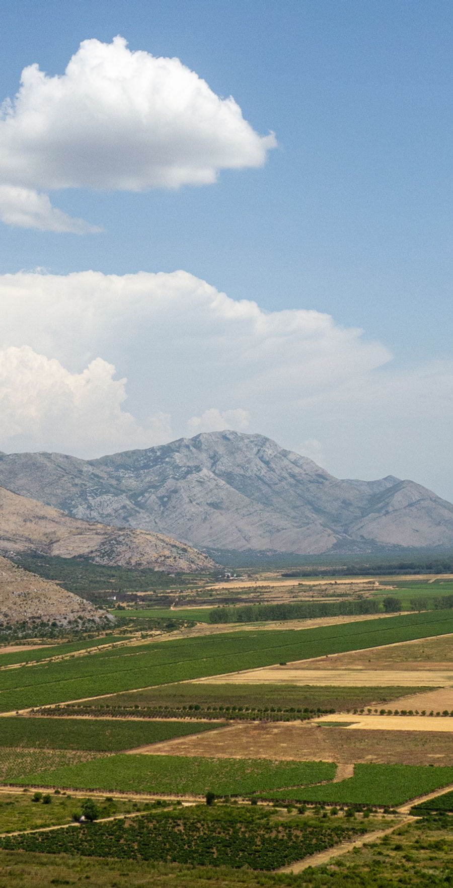 Farmland valley beneath a mountain range
